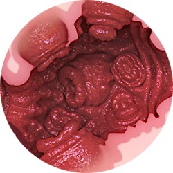 swatch item