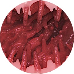 swatch item