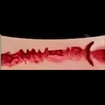 swatch item