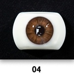 swatch item
