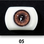swatch item