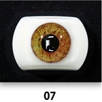 swatch item