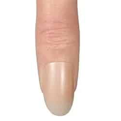 swatch item