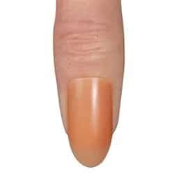 swatch item
