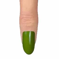 swatch item