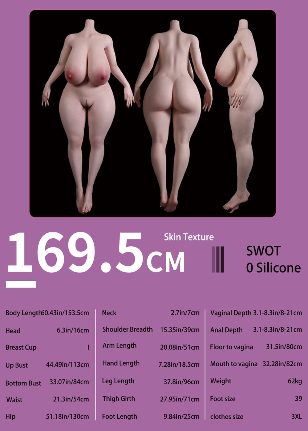 Evas 169.5cm body data