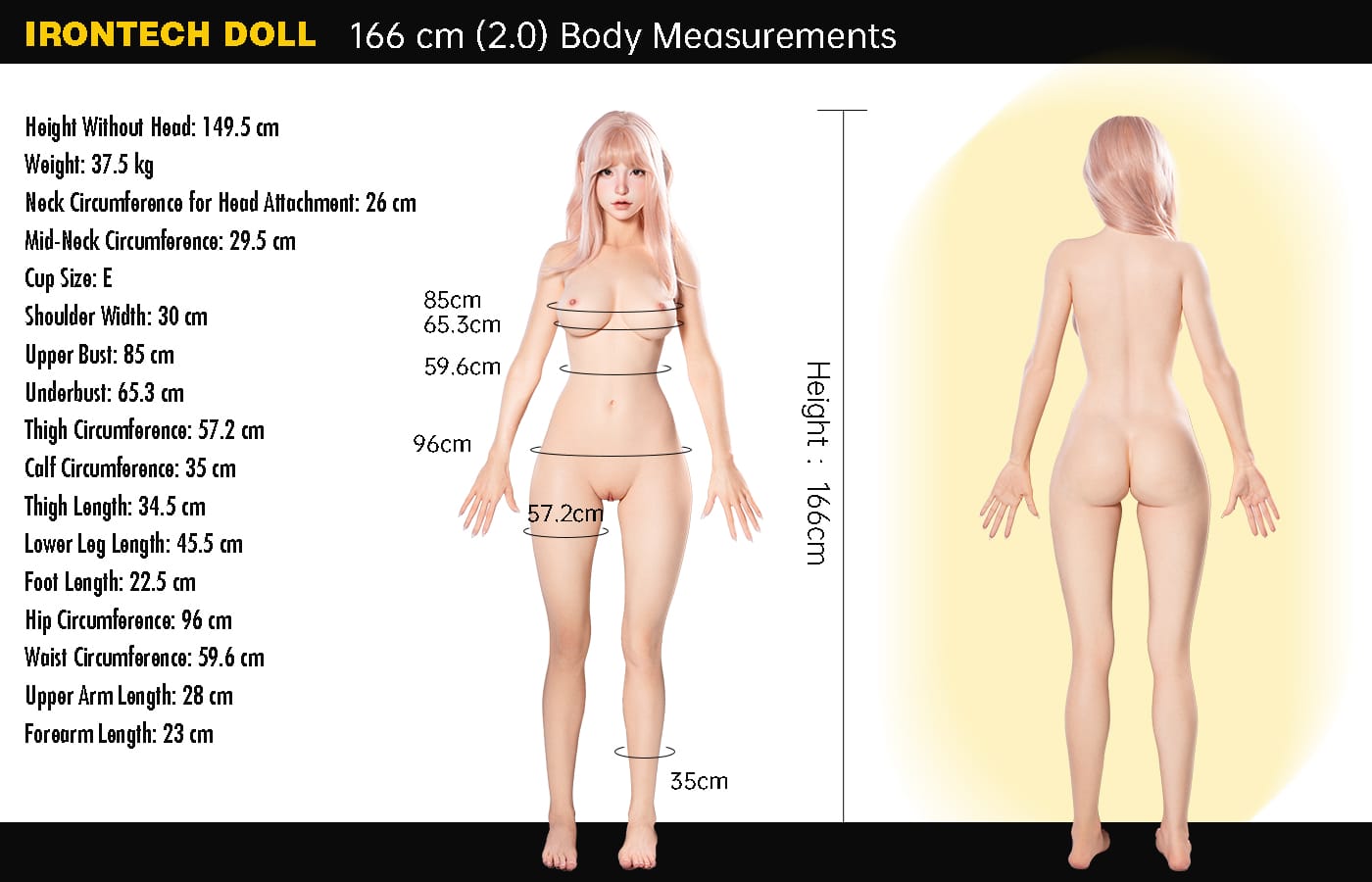 Irontech Doll 166-2.0 body data