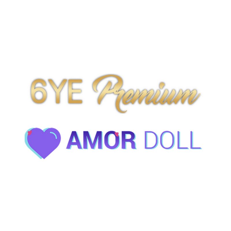 6ye logo